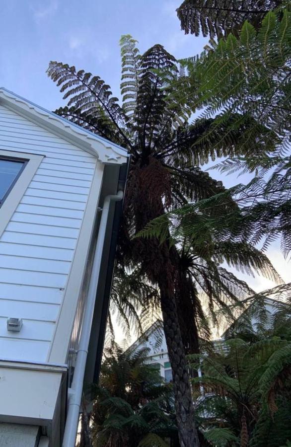Tiny House In The Sky Hotell Dunedin Eksteriør bilde